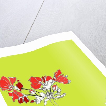 Geranium by Anna Platts