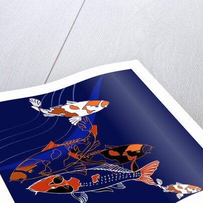 Koi by Anna Platts