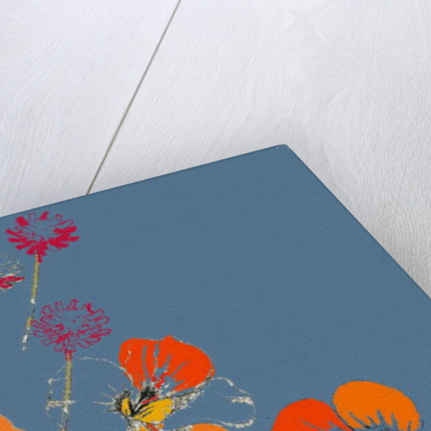 Nasturtium by Anna Platts