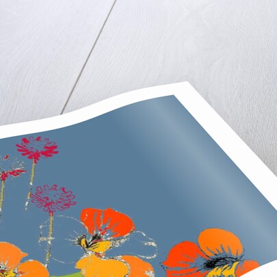 Nasturtium by Anna Platts