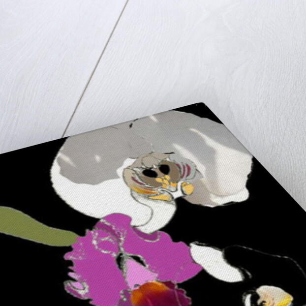 Orchid by Anna Platts