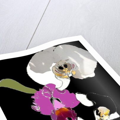 Orchid by Anna Platts