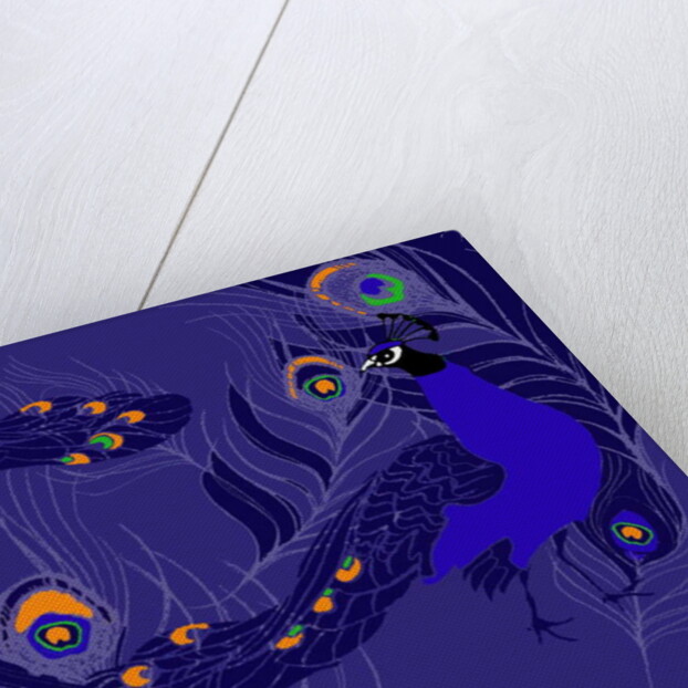Peacock by Anna Platts