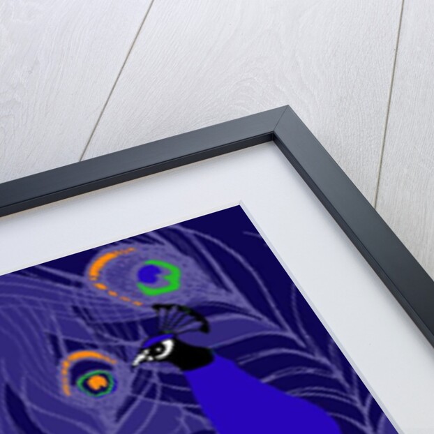 Peacock by Anna Platts