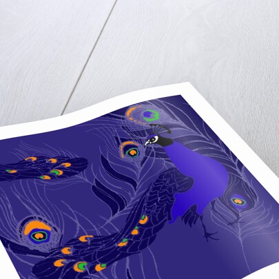 Peacock by Anna Platts