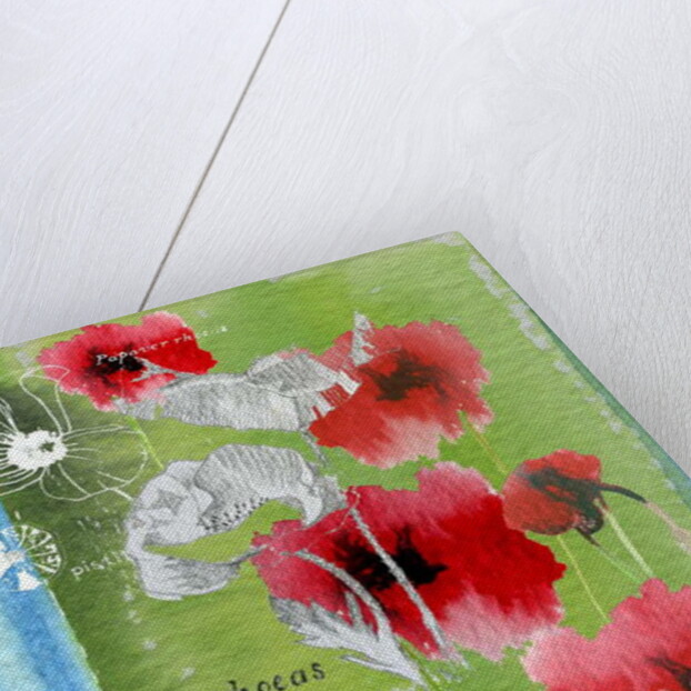 Poppy by Anna Platts