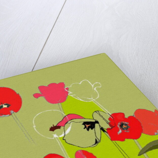 Tulip by Anna Platts
