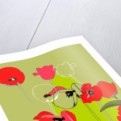 Tulip by Anna Platts