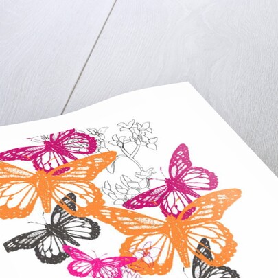 Butterfly by Anna Platts