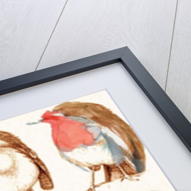 Robin by Anna Platts