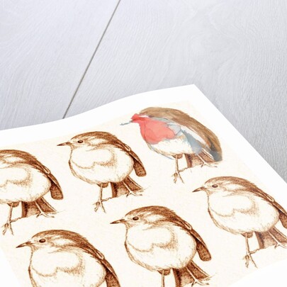 Robin by Anna Platts