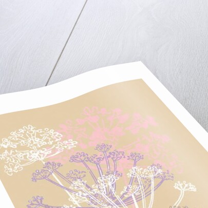 Cow Parsley, 2013 by Anna Platts