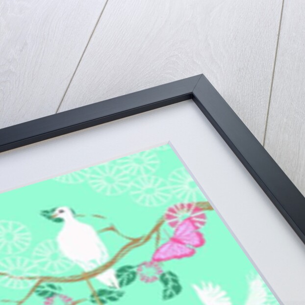 Doves, 2013 by Anna Platts