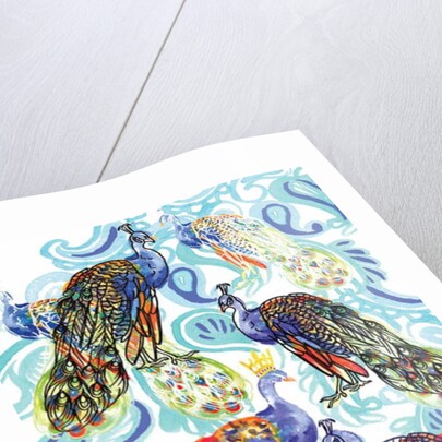 Paisley Peacock, 2013 by Anna Platts