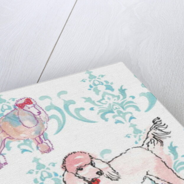 Poodles, 2013 by Anna Platts