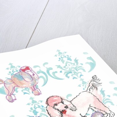Poodles, 2013 by Anna Platts