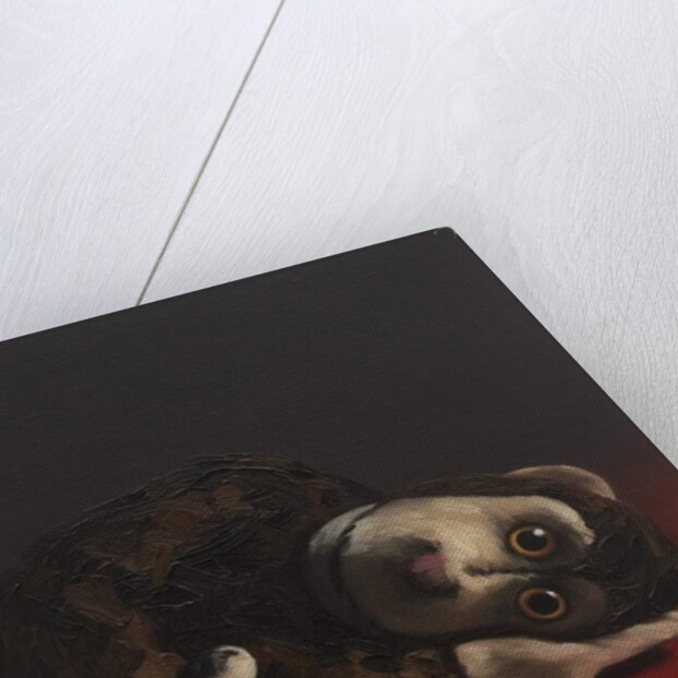 Toby Monkey, 2017 by Peter Jones