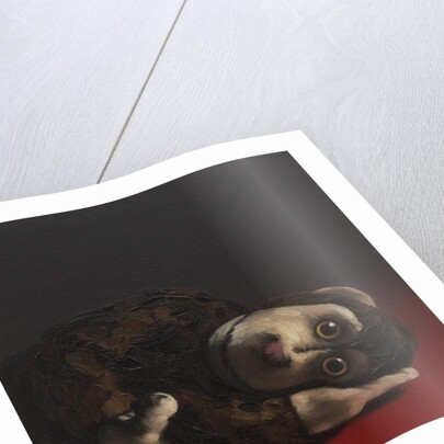 Toby Monkey, 2017 by Peter Jones