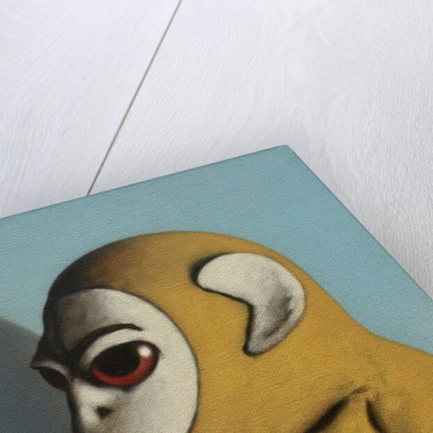 Yellow Monkey, 2006 by Peter Jones