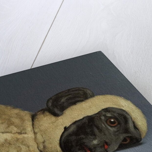 Monkey Still-Life, 2016 by Peter Jones