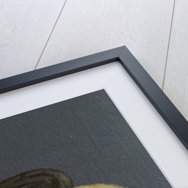 Monkey Still-Life, 2016 by Peter Jones