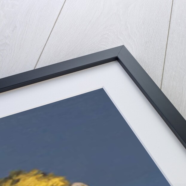 Mustard Monkey, 2017 by Peter Jones