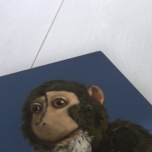 Andy Monkey, 2017 by Peter Jones