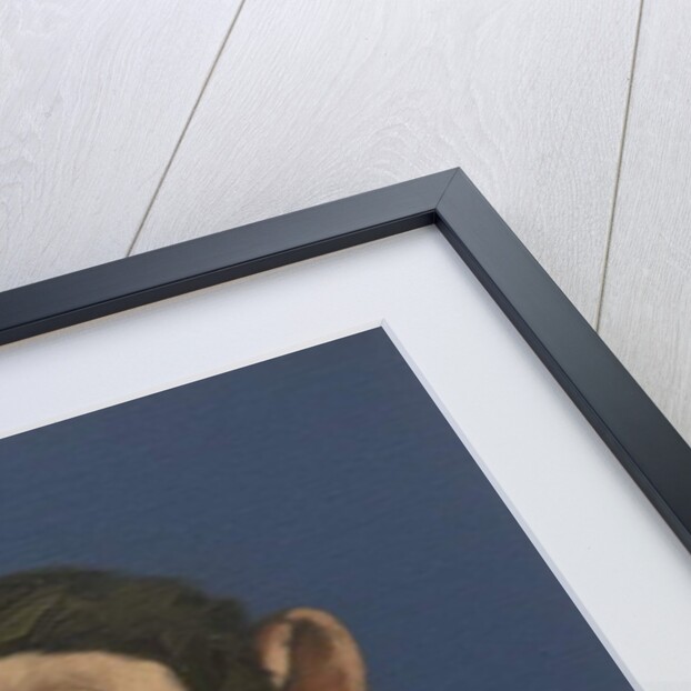 Andy Monkey, 2017 by Peter Jones