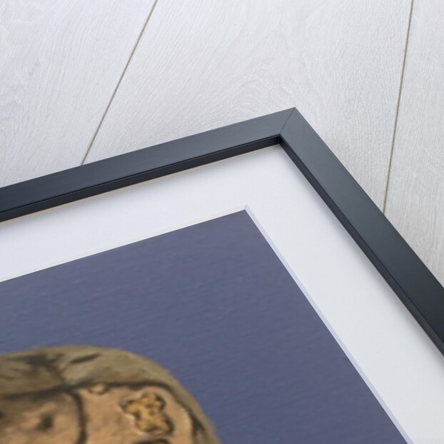 Aaron Monkey, 2016 by Peter Jones