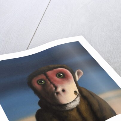 Fergus Monkey, 2017 by Peter Jones