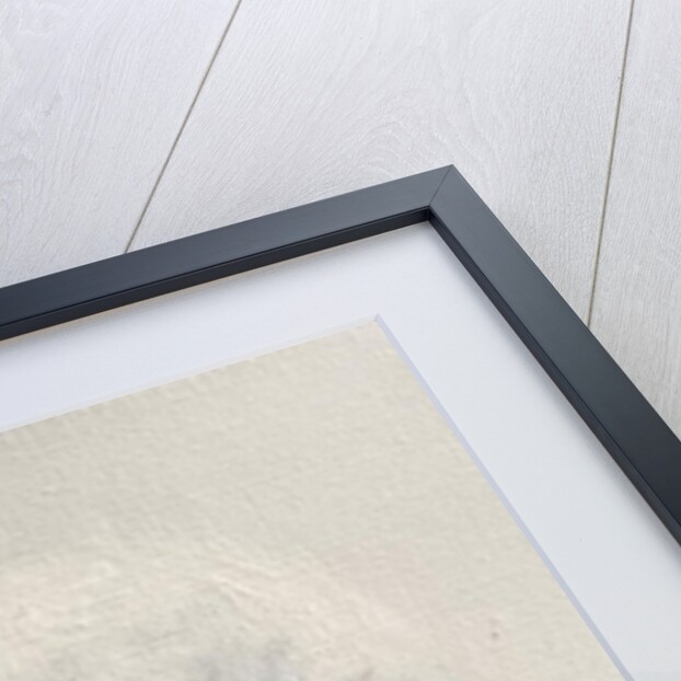 Monkey in White, 2005 by Peter Jones