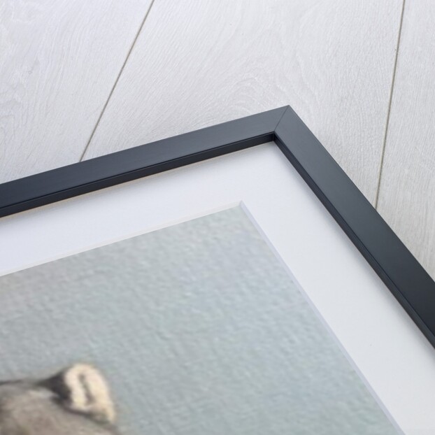 Green Face Monkey, 2006 by Peter Jones