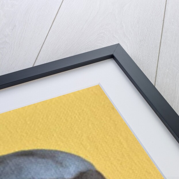 Mauve Monkey on Yellow, 2006 by Peter Jones