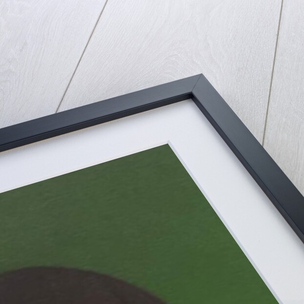 Monkey Portrait on Green, 2005 by Peter Jones