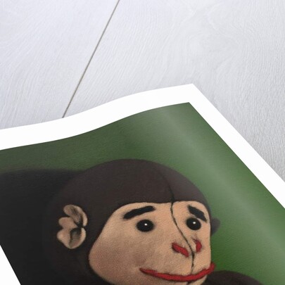 Monkey Portrait on Green, 2005 by Peter Jones