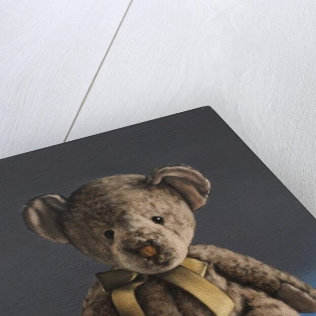 Pinki the Bear, 2017 by Peter Jones