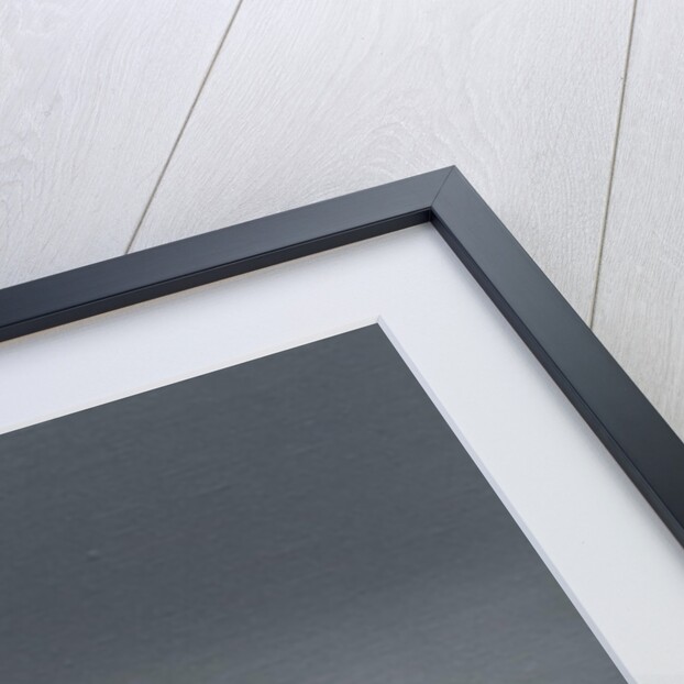 Lame Duck, 2019 by Peter Jones