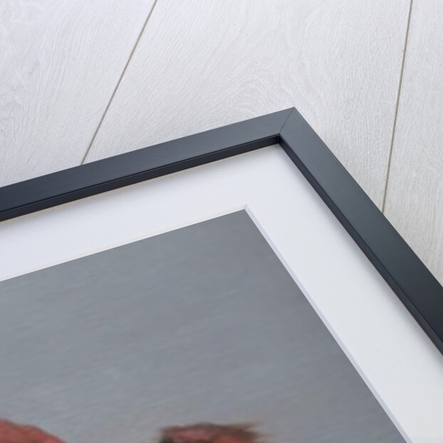 Pink Bunny, 2017 by Peter Jones