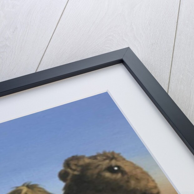 Camel, 2017 by Peter Jones