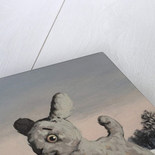 Snowy, 2010 by Peter Jones