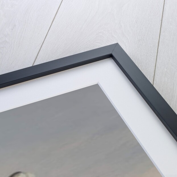 Snowy, 2010 by Peter Jones