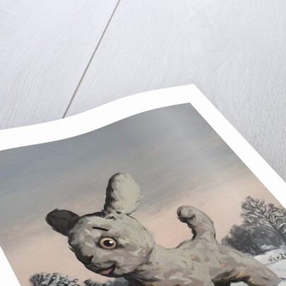 Snowy, 2010 by Peter Jones