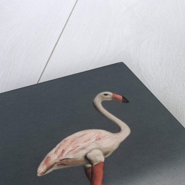 Pink Flamingo, 2014 by Peter Jones