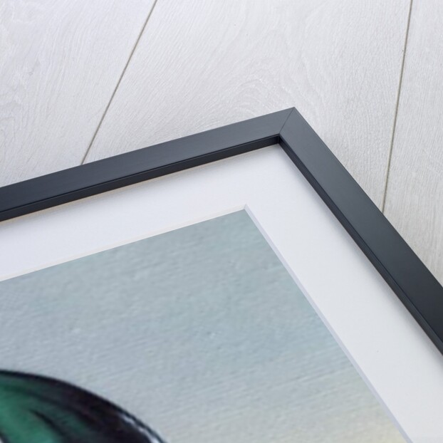 The Glass Fish, 2014 by Peter Jones