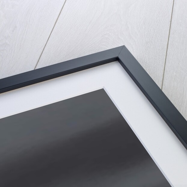 Lamb, 2009 by Peter Jones