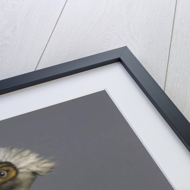 The Pelican, 2017 by Peter Jones