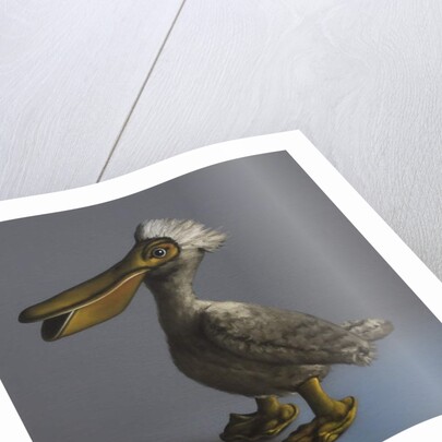 The Pelican, 2017 by Peter Jones