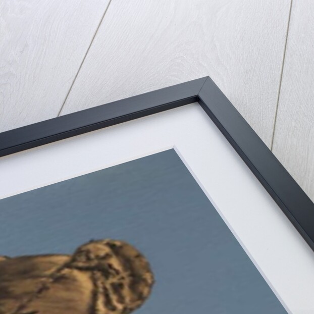 Ted, 2017 by Peter Jones