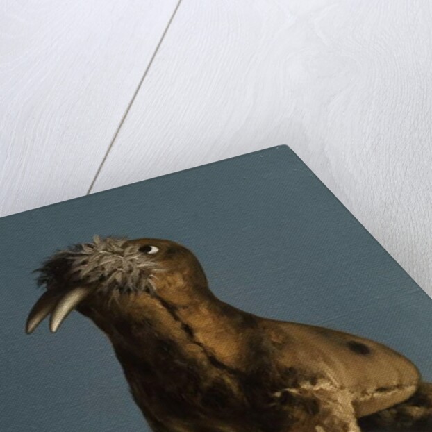 Walrus, 2015 by Peter Jones