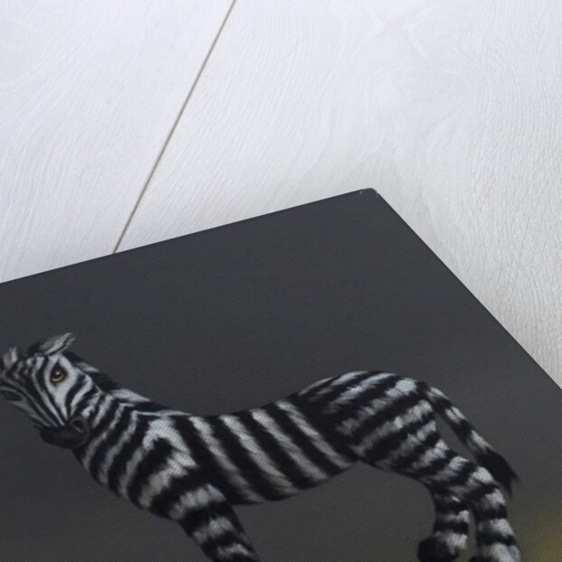 Zebra - After Stubbs, 2018 by Peter Jones